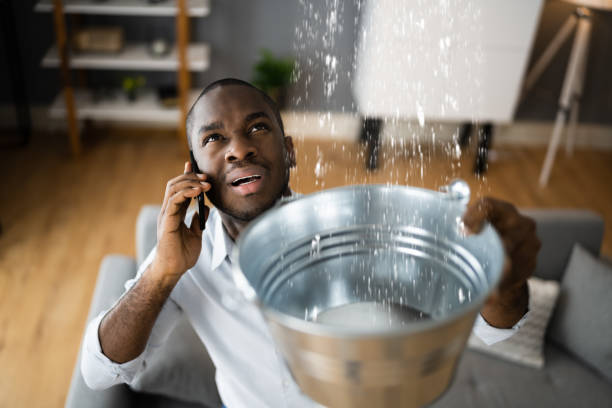 Best Water damage restoration specialists  in Middle Island, NY