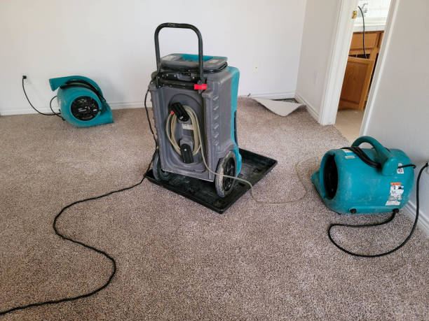 Local water damage restoration in Middle Island, NY