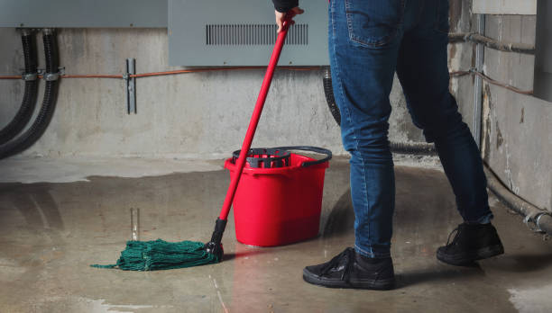 Best Water damage contractors near me  in Middle Island, NY