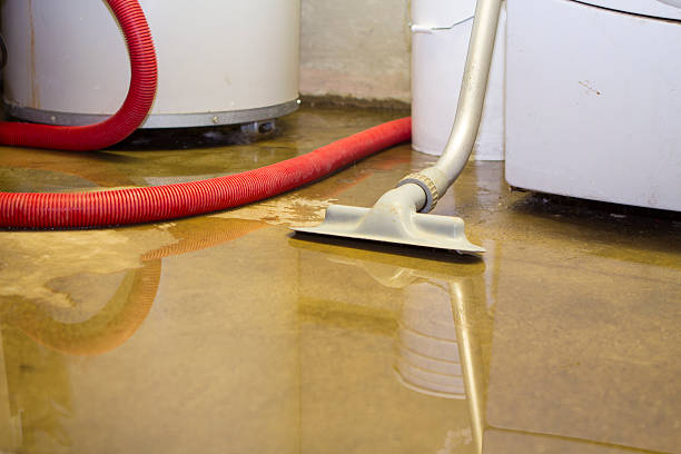 Professional Water damage restoration in Middle Island, NY