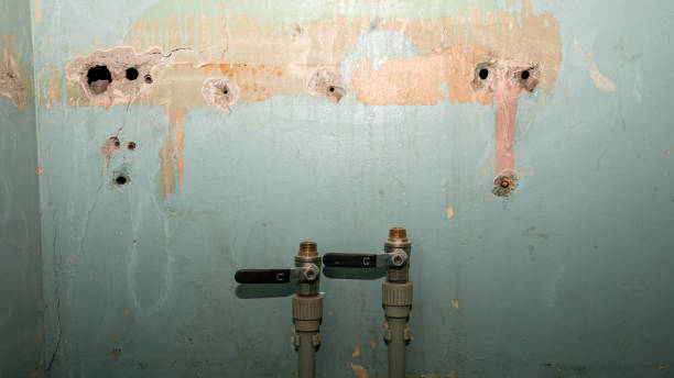 Best Flood damage cleanup  in Middle Island, NY