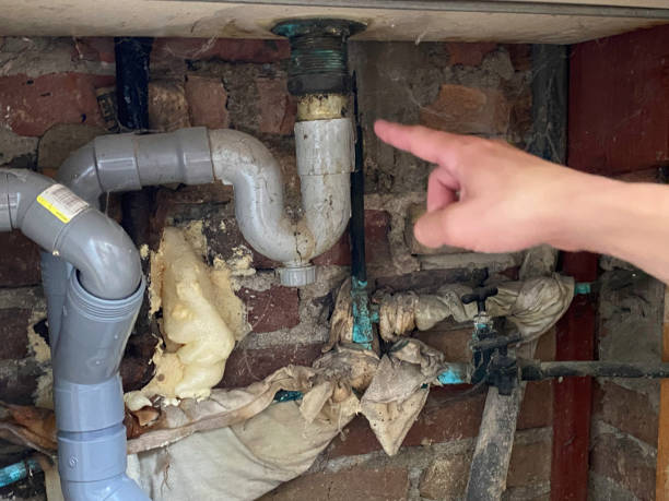 Best Water damage restoration near me  in Middle Island, NY