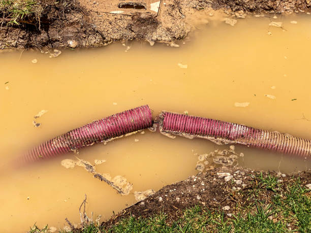  Middle Island, NY Water damage restoration Pros