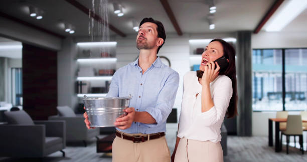 Best Flood damage cleanup  in Middle Island, NY