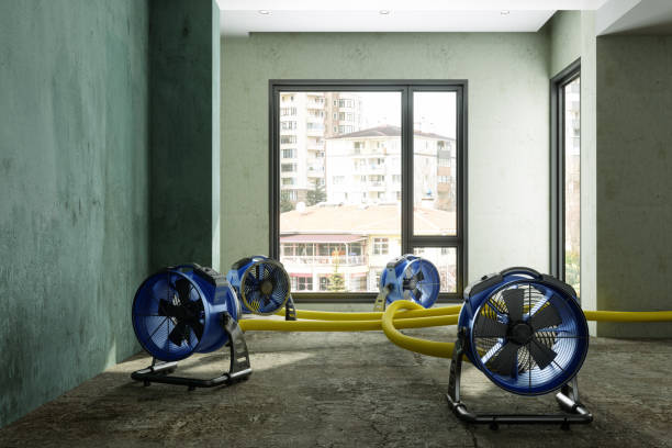 Best Basement water damage restoration  in Middle Island, NY