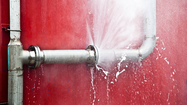 Best Local water damage restoration  in Middle Island, NY