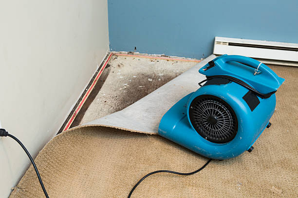 Best Ceiling water damage repair  in Middle Island, NY